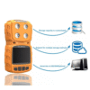 1-19.png Acoustic Testing Pro Four-In-One Portable Multi Gas Detector (Oxygen Gas: 1 to 30 % VOL)