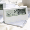 Acoustic Testing Pro Temperature Hygrometer With Clock