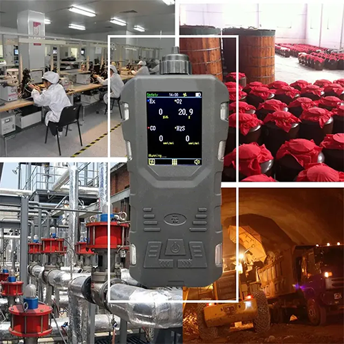 Acoustic Testing Pro Combustible Gas Detector