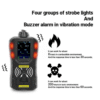 Acoustic Testing Pro Portable Multi Gas Detector with Pump Type