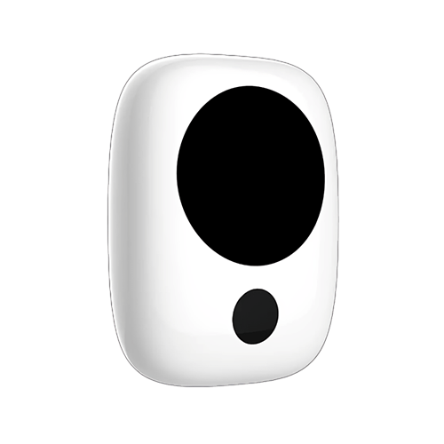 Acoustic Testing Pro Nuclear Radiation Dosimeter Gamma Race