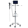Acoustic Testing Pro Clinical Flexible Endoscopes