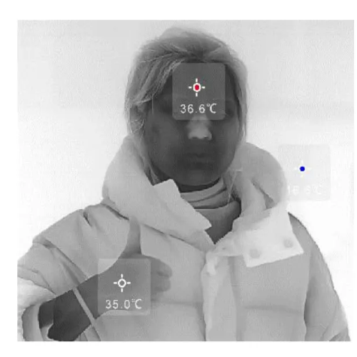 Acoustic Testing Pro Temperature Measuring Infrared Thermal Imager