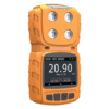 Acoustic Testing Pro 2 Gas Portable Multi Gas Detector