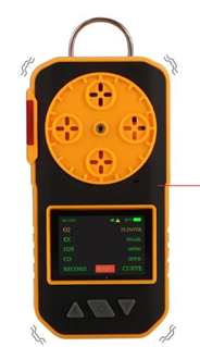 Acoustic Testing Pro Gas Analyzers and alarm detector