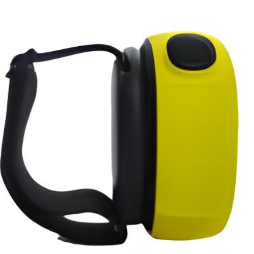 Acoustic Testing Pro Gas Detector Personal Gas Monitor - Protection Grade IP65